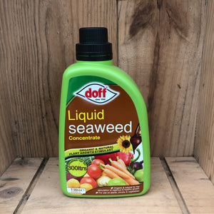 Liquid Seaweed 1Ltr