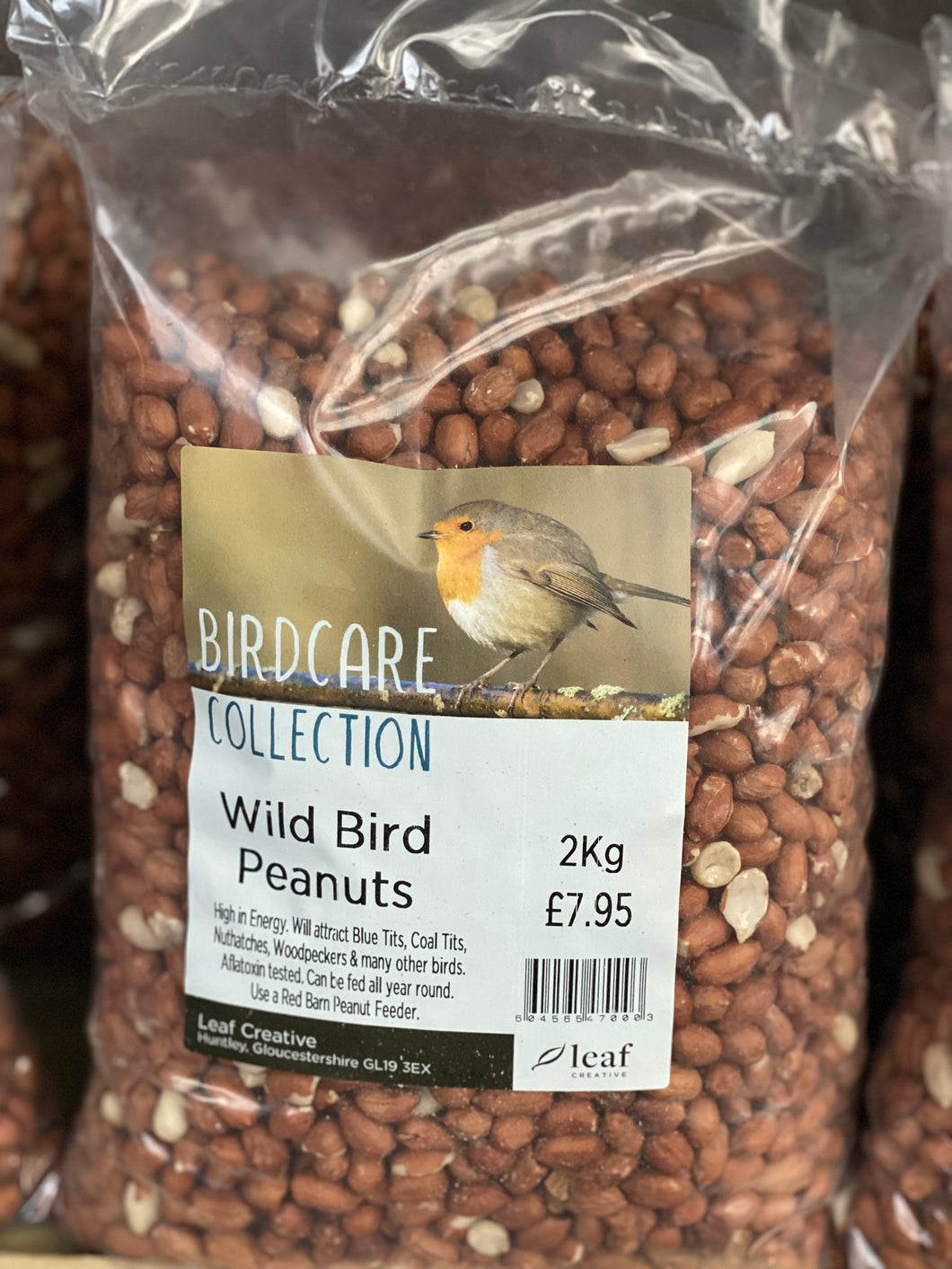 Wild bird Peanuts